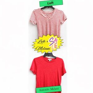 Tshirt Bundle Antonio Melani + Loft